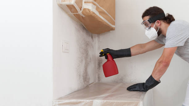Professional Mold Remediation technician working in Floral Park, NY